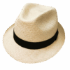 Sombrero Fedora