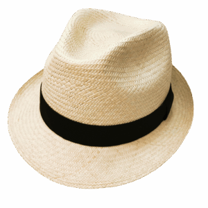 Sombrero Fedora