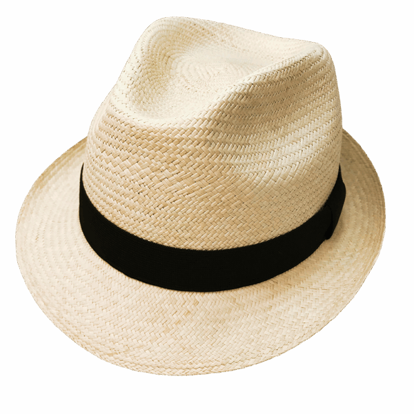 Sombrero Fedora