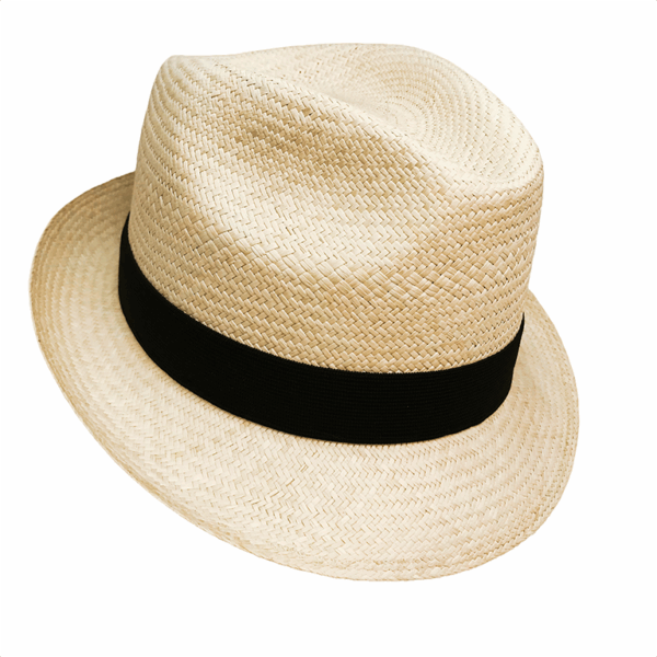 Sombrero de palma de Jipi