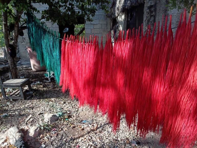 Jipi teñido de colores